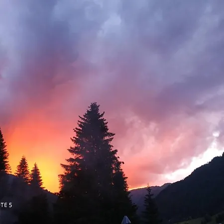 Steiermark * Pusterwald